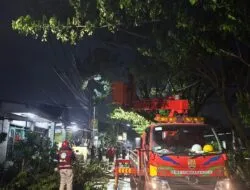 Cuaca Ekstrem Terjang Jateng, Listrik Ratusan Ribu Pelanggan Sempat Padam