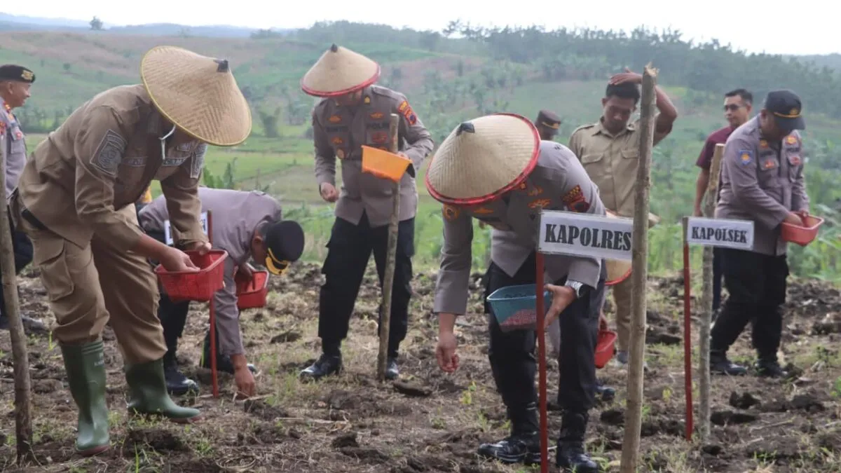 Sinergi di Ladang, Kapolres Demak dan Petani Tanam Jagung Bareng di Wonosekar