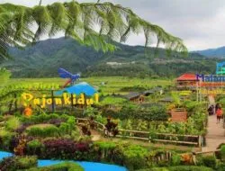 Daya Tarik Desa Wisata Jadi Senjata Ampuh Cegah Urbanisasi Pemuda