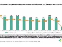 Kasus Campak 2026 Turun Signifikan, Kemenkes Minta Masyarakat Tetap Waspada