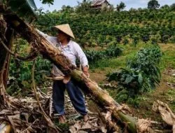 Kisah Perempuan Muara Enim Jaga Kelestarian Hutan Adat
