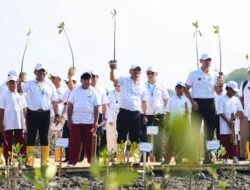 Atasi Rob Demak, Jateng Padukan Mangrove & Teknologi HexBricks